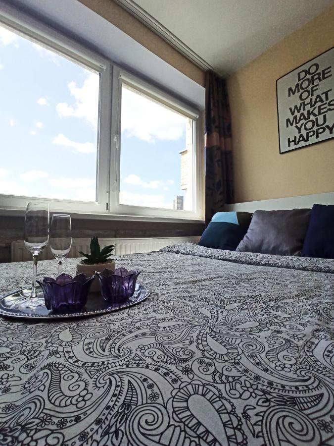 9Th Floor Amazing View Central Studio Apartment ヴィリニュス エクステリア 写真