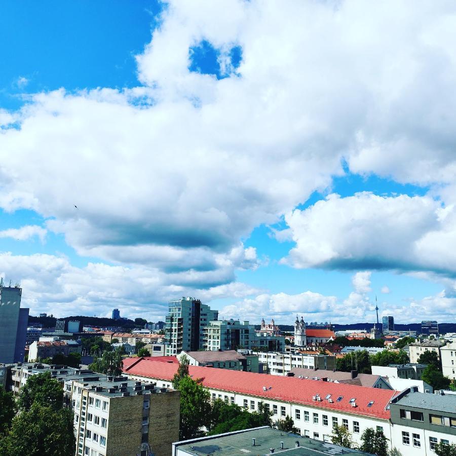 9Th Floor Amazing View Central Studio Apartment ヴィリニュス エクステリア 写真